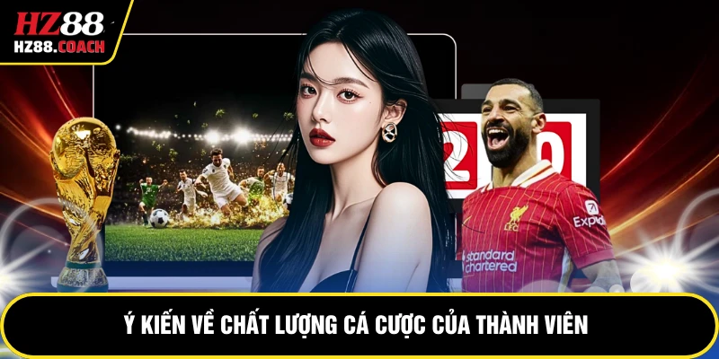 Ý kiến về chất lượng cá cược của thành viên